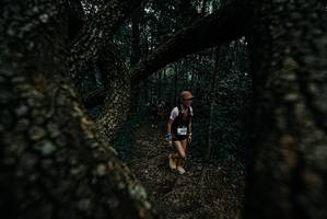 BIB: 
                            <button type="button" onclick="openModal(25688255)" class="btn btn-primary btn-sm float-right btn-popup" data-toggle="modal" data-target=".modal-high-quality">
                        <i class="fas fa-shopping-cart"></i> Add to Cart
                    </button>
                                            <button type="button" onclick="isThisMe(25688255, true)" class="btn btn-success btn-sm float-right btn-popup btn-isme hidden" data-toggle="tooltip" data-placement="bottom" title="นี่คือรูปของคุณใช่ไหม คลิกที่นี่เพื่อเอาเข้าอัลบั้ม">
                        <i class="fas fa-plus"></i> Add to album
                    </button>
                    <button type="button" onclick="isThisMe(25688255, false)" class="btn btn-warning btn-sm float-right btn-popup btn-isnotme hidden">
                        <i class="fas fa-ban"></i> Remove from album
                    </button>